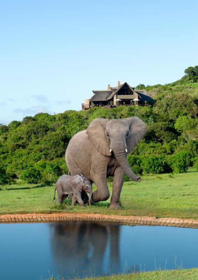 Hopewell Private Game Reserve Buyskloof Eksteriør billede